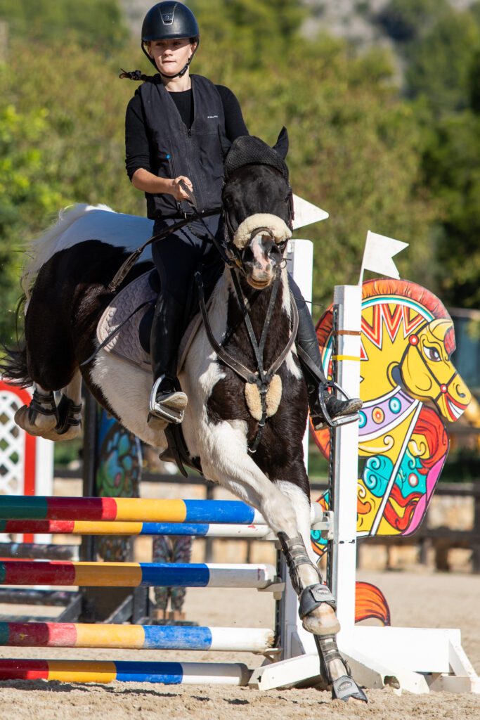 Brown and white horse jumping fence