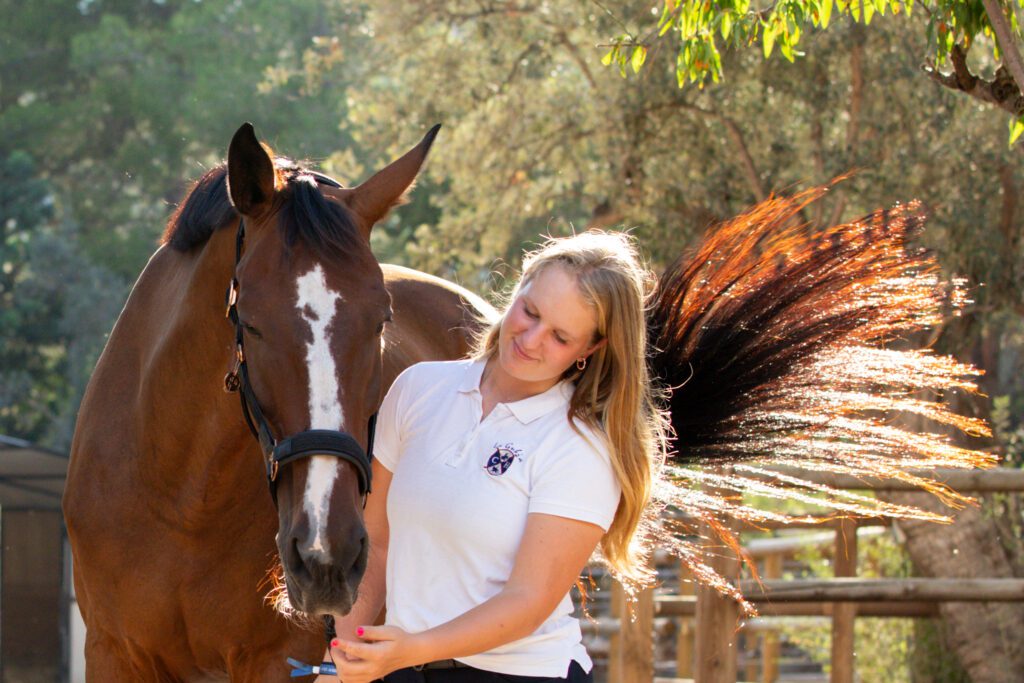 Horse and Rider