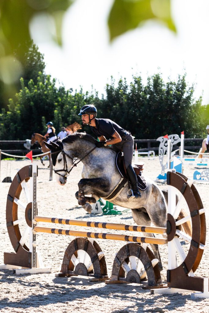 Horse jumping fence