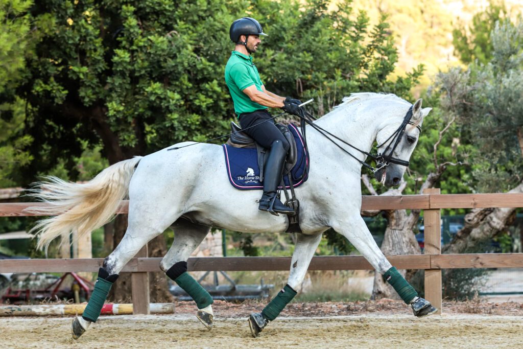 Man on white horse