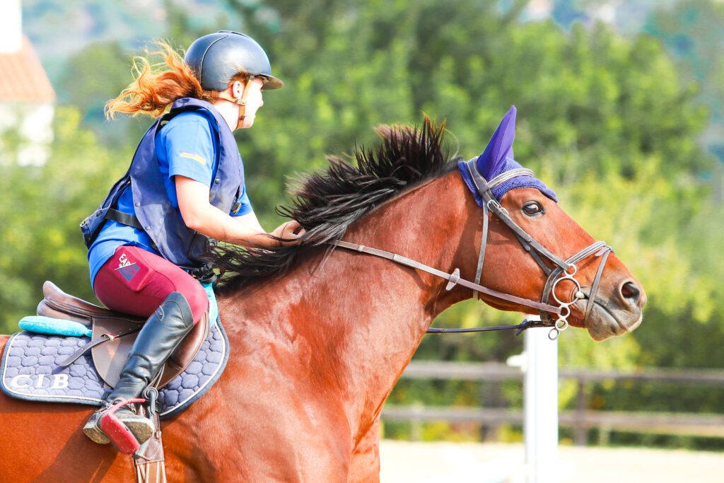 Brown horse with Girl riding