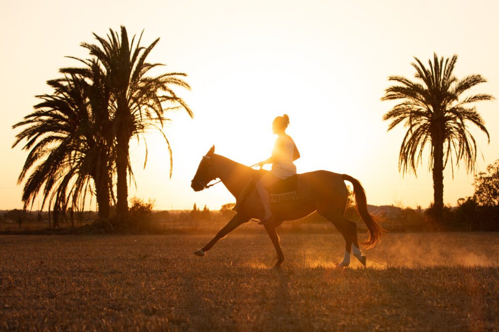 girl horse sunset