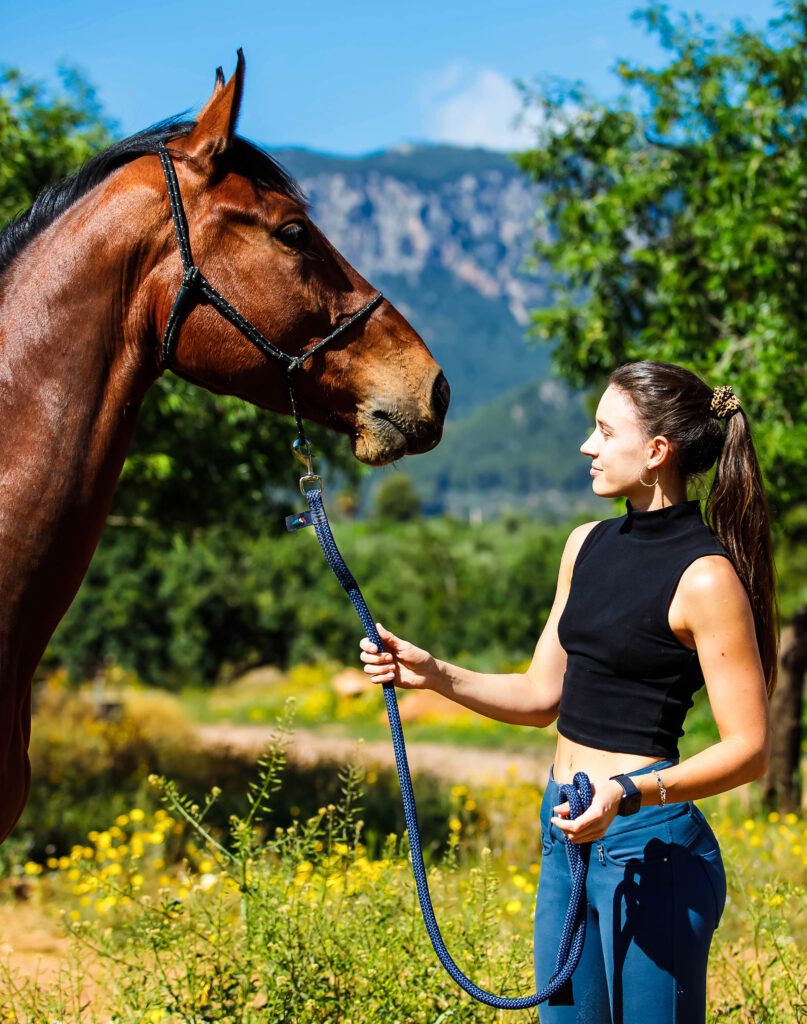 girl and horse regarding each other
