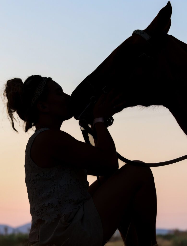 silhouette girl and horse