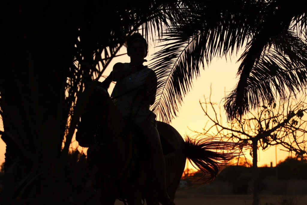 silhouette horse girl palm tree