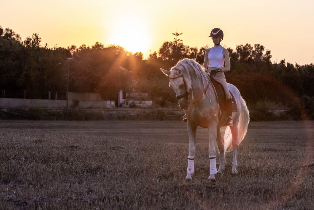 girl white horse dressage sunset