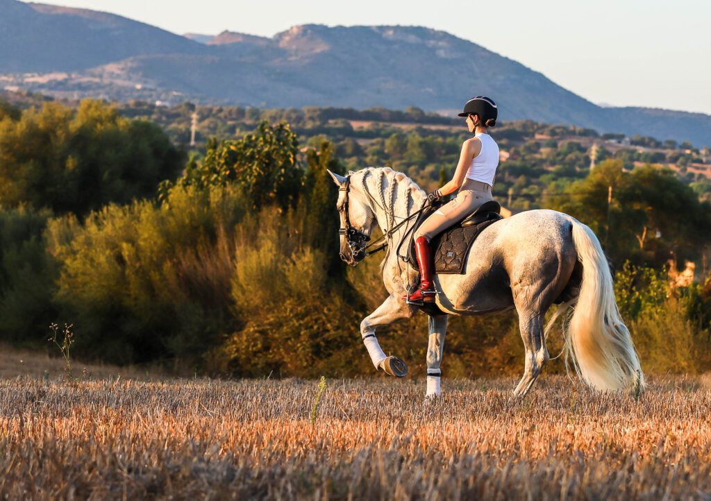girl on white horse dressage in field